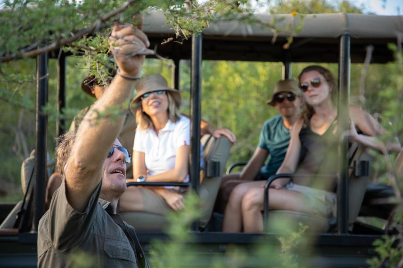 Parsons Hilltop Safari Camp Balule viltreservat Exteriör bild