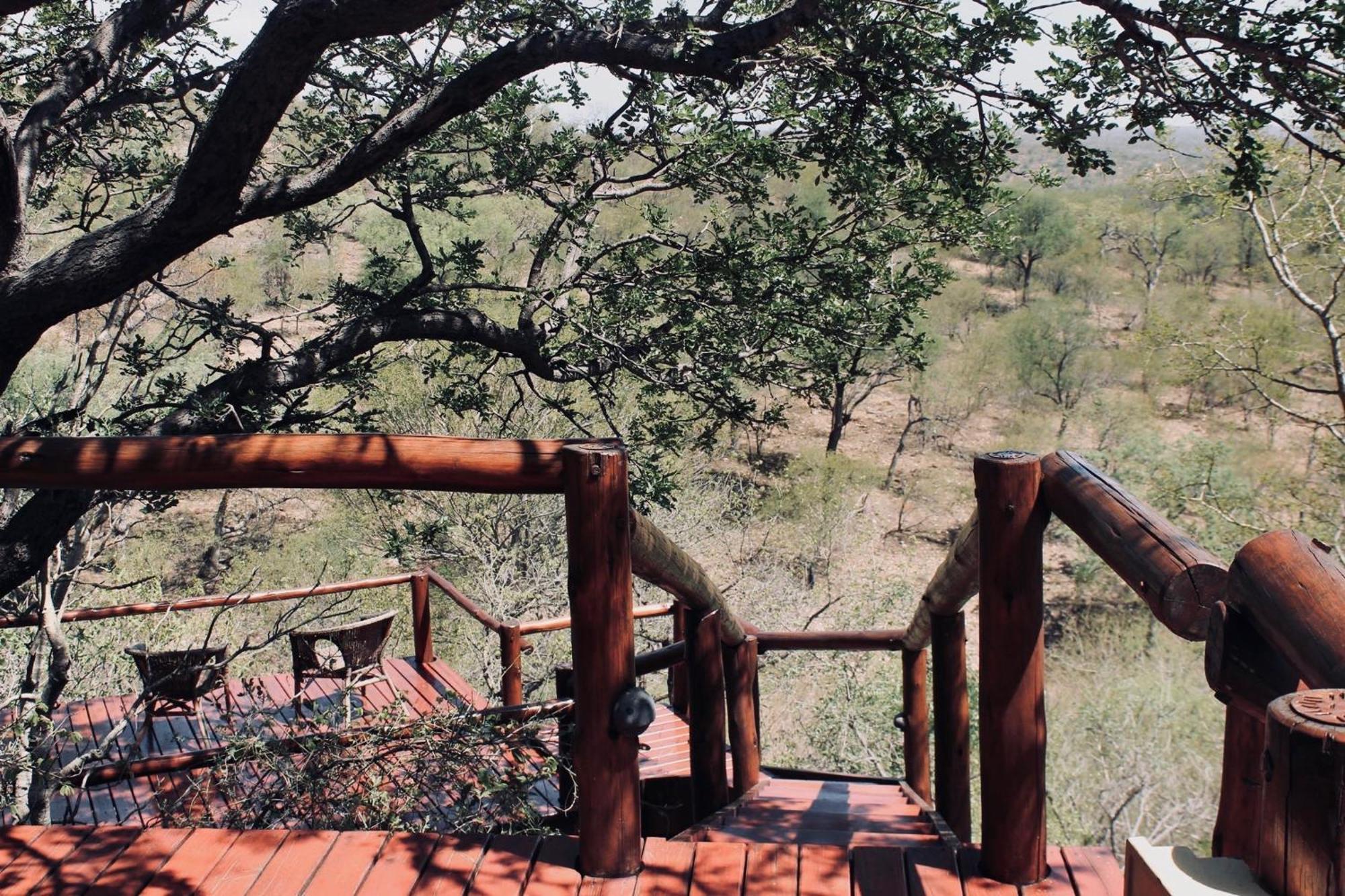 Parsons Hilltop Safari Camp Balule viltreservat Exteriör bild